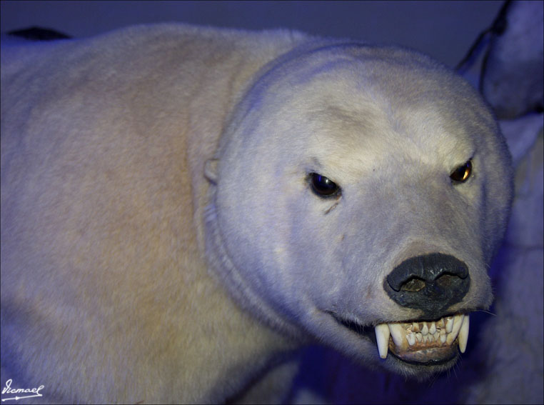 Foto de Onda (Castelló), España