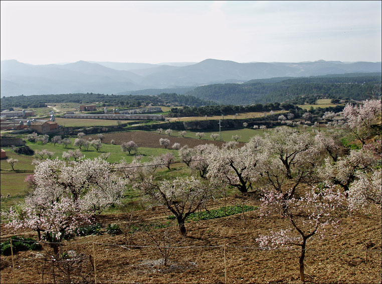 Foto de Monroyo (Teruel), España