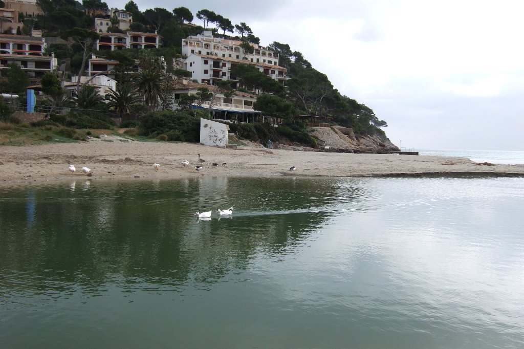 Foto de Mallorca (Illes Balears), España