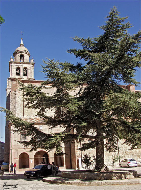 Foto de Medinaceli (Soria), España