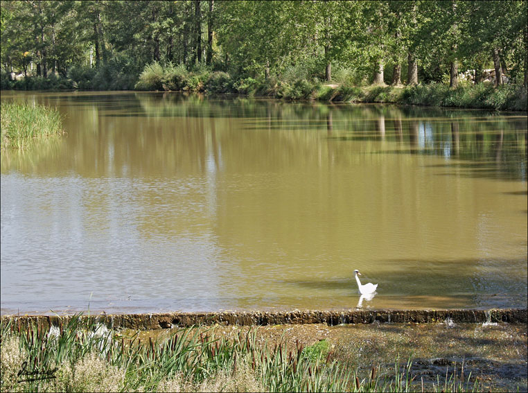 Foto de Almazán (Soria), España