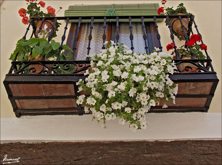 Foto de El Burgo de Osma (Soria), España