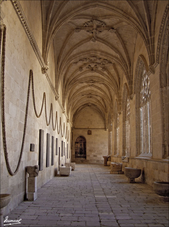 Foto de El Burgo de Osma (Soria), España