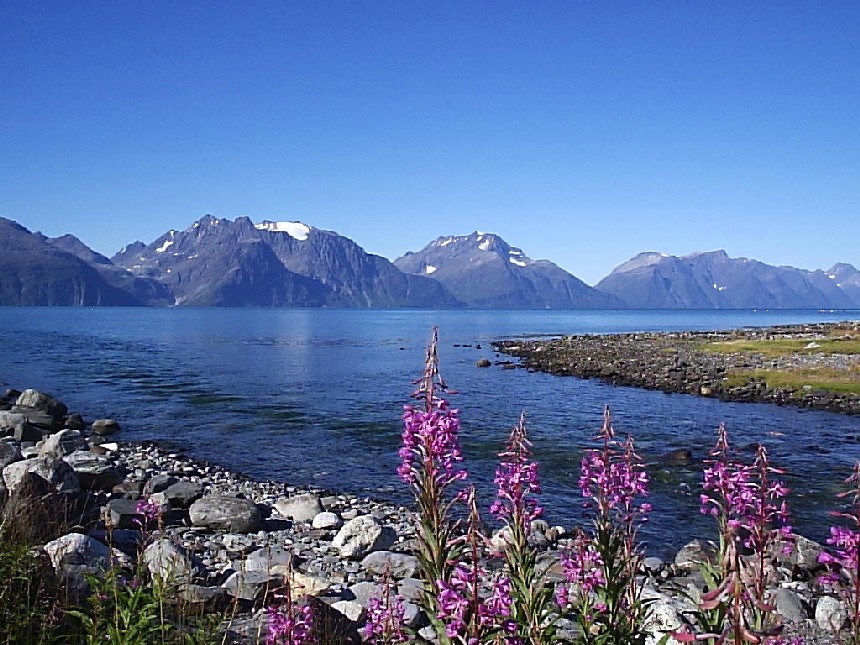 Foto de Camino de Alta, Noruega