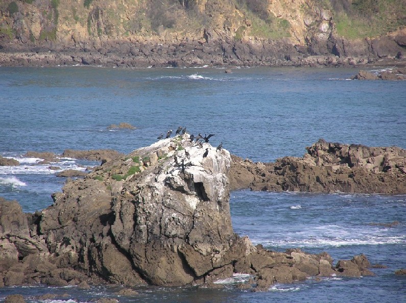 Foto de Santa Cruz - Oleiros (A Coruña), España