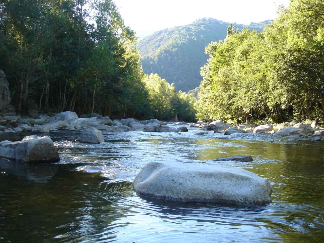 Foto de Seu de Urgel (Girona), España