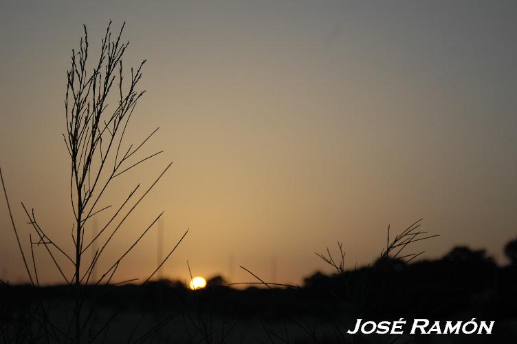 Foto de Puerto de Santa María (Cádiz), España