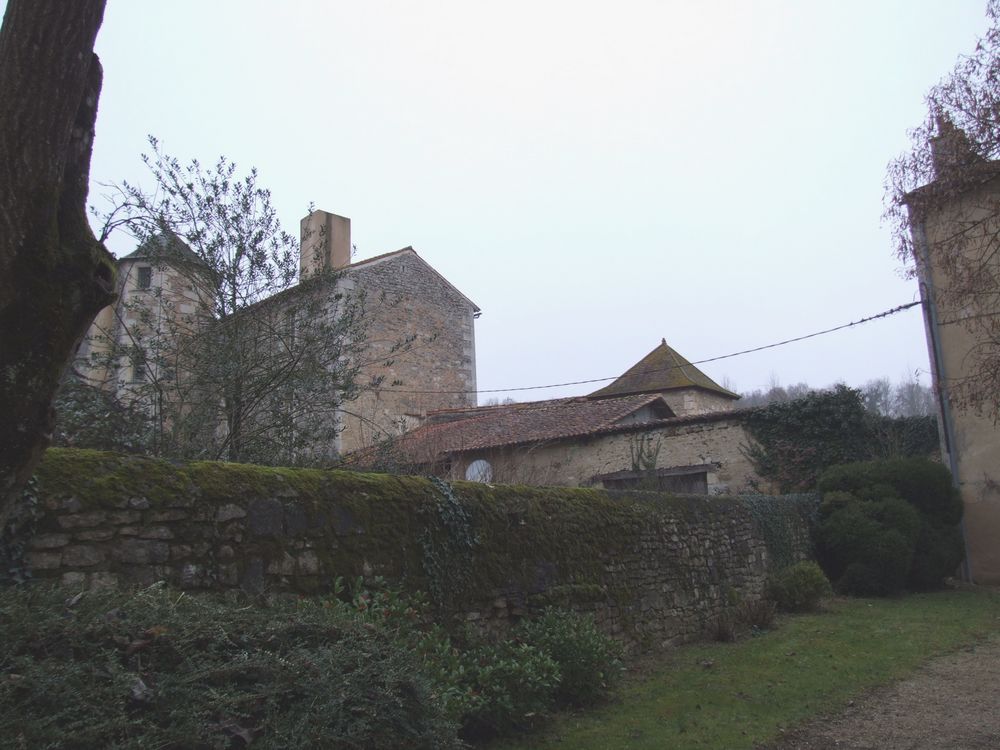 Foto de Nouaille Maupertuis (Francia), Francia