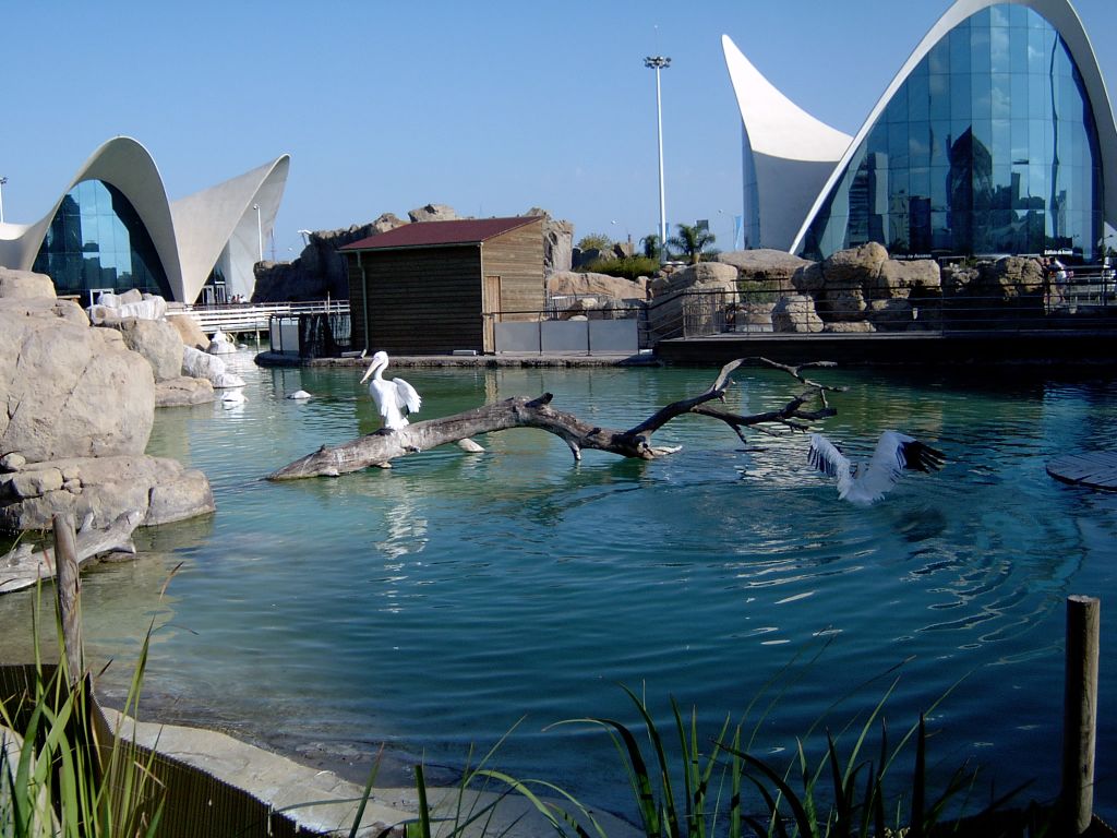 Foto de Valencia (València), España