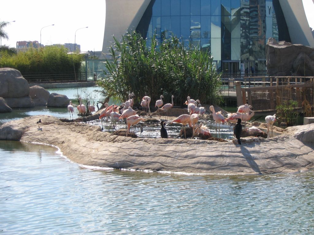 Foto de Valencia (València), España