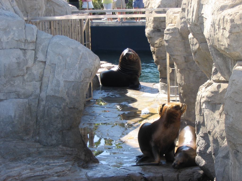 Foto de Valencia (València), España
