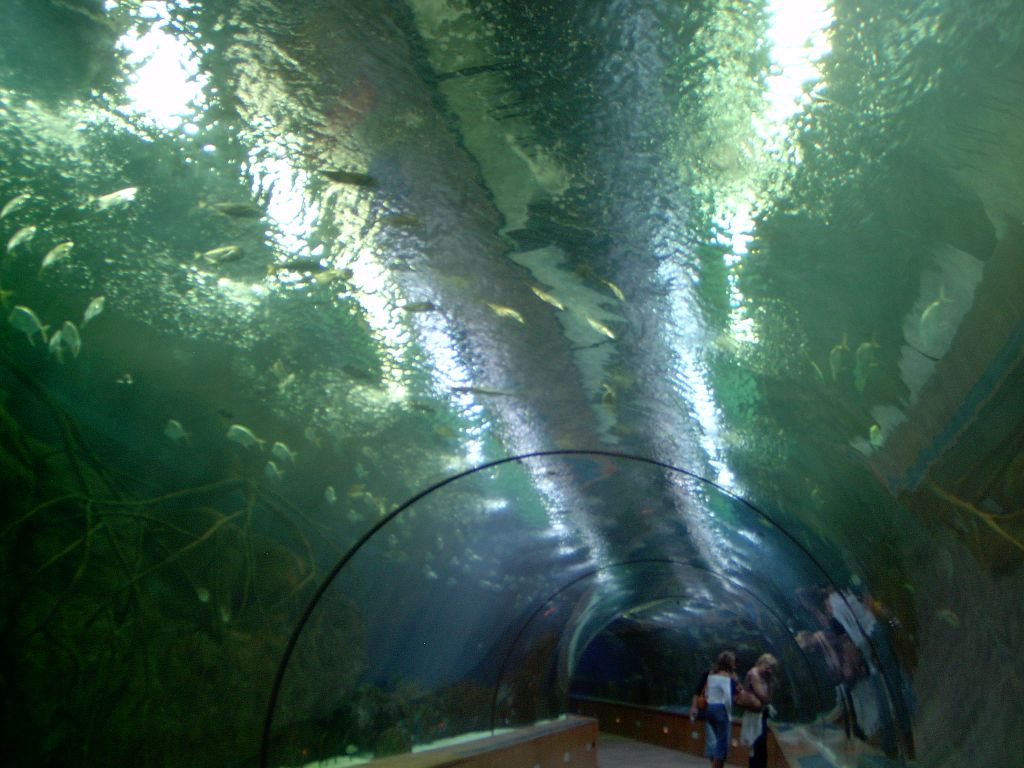 Foto de Valencia (València), España