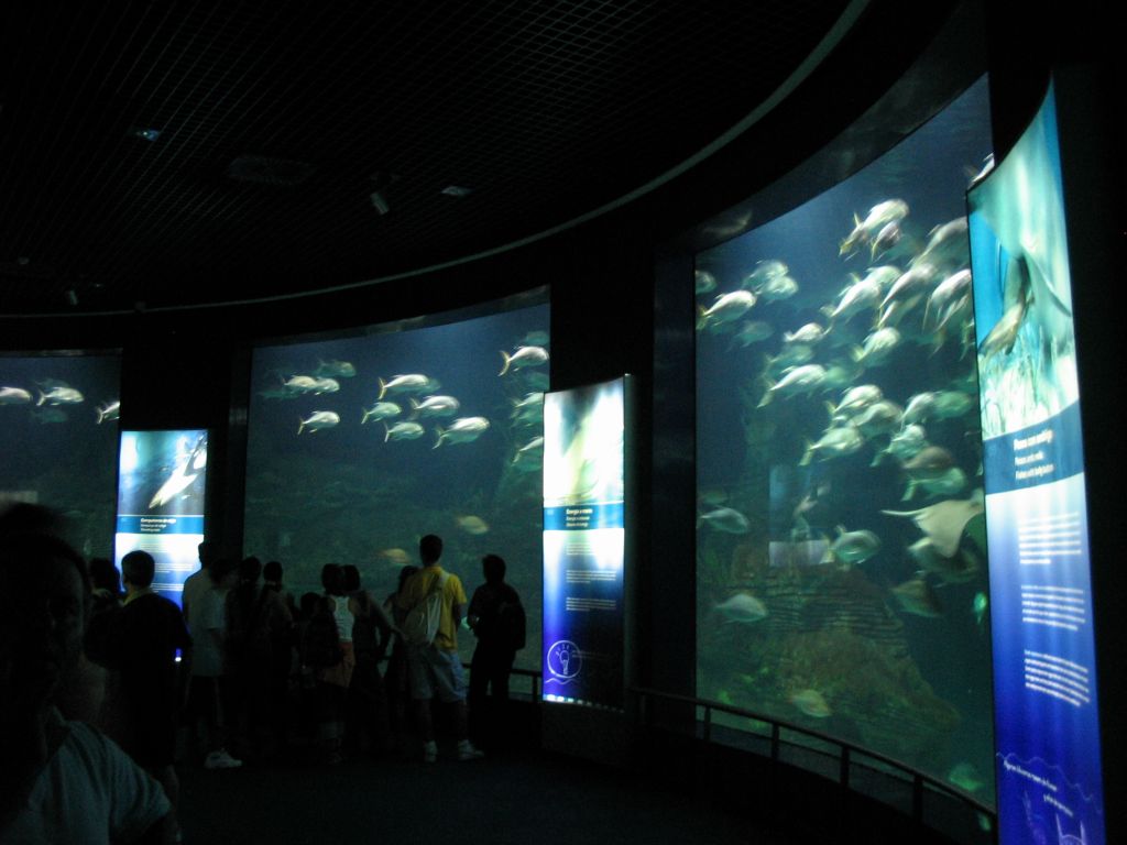 Foto de Valencia (València), España