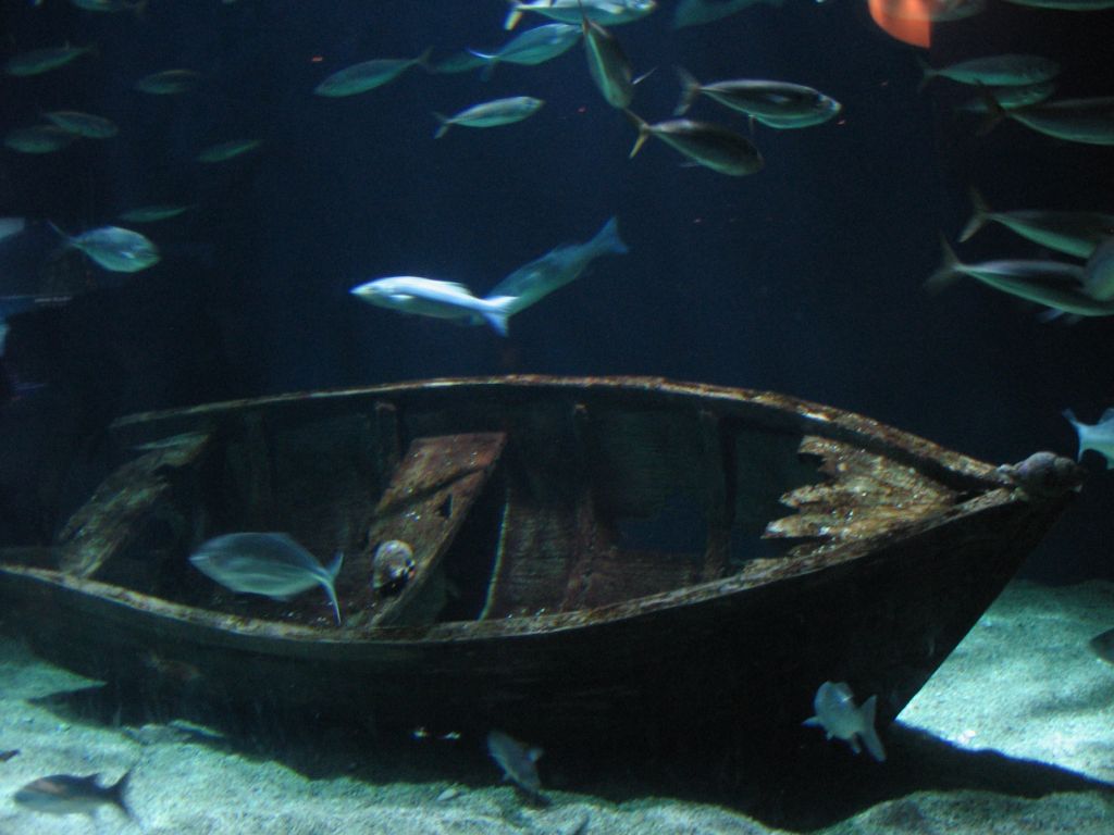 Foto de Valencia (València), España