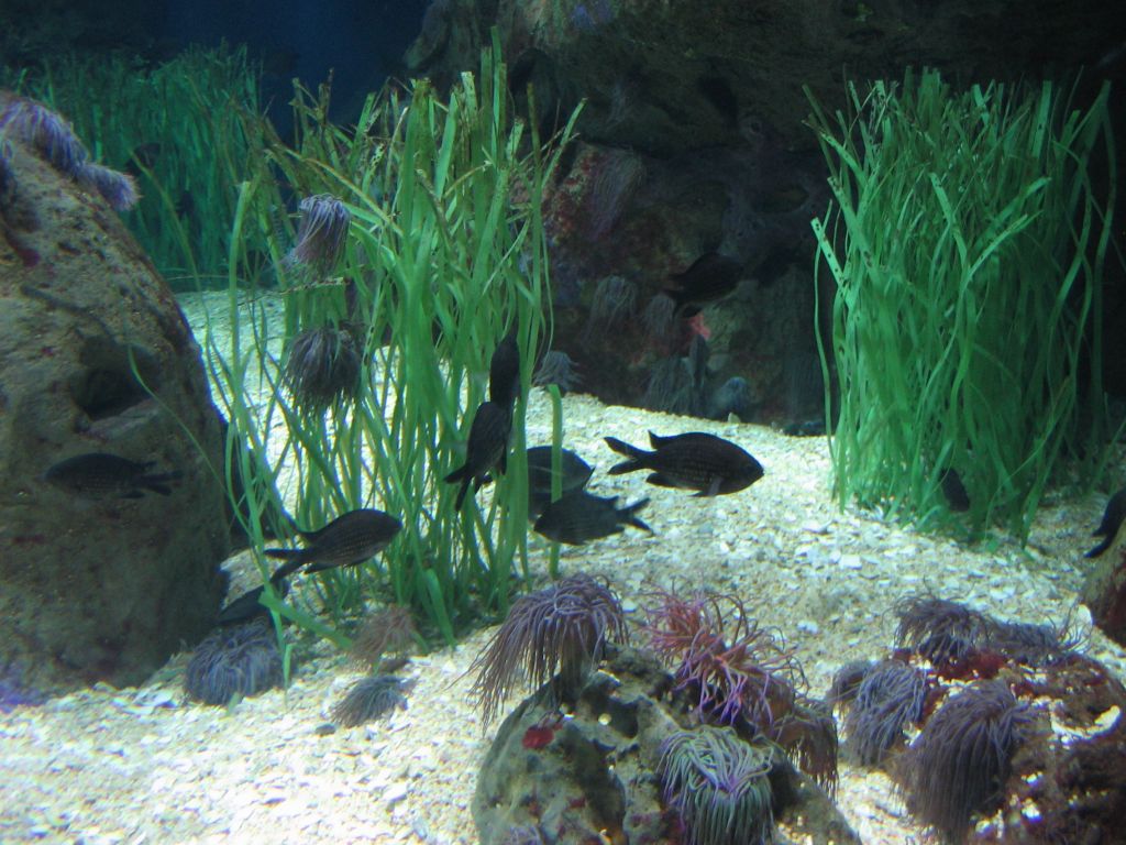 Foto de Valencia (València), España