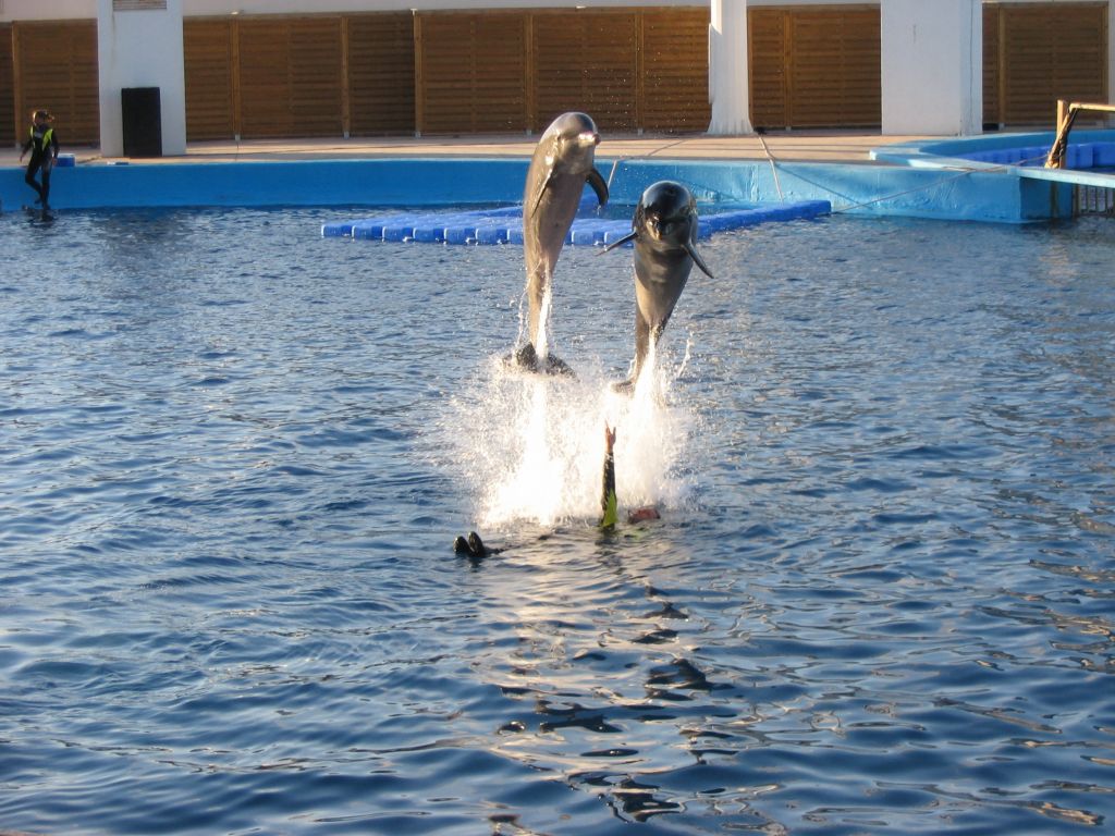 Foto de Valencia (València), España