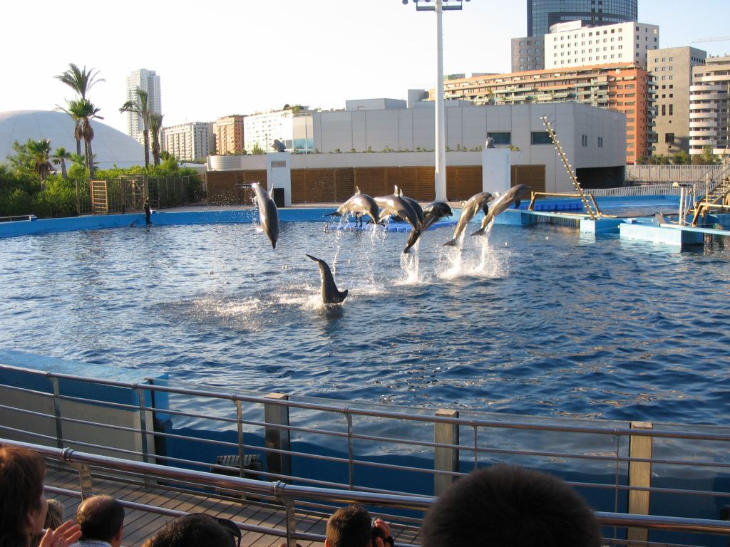 Foto de Valencia (València), España