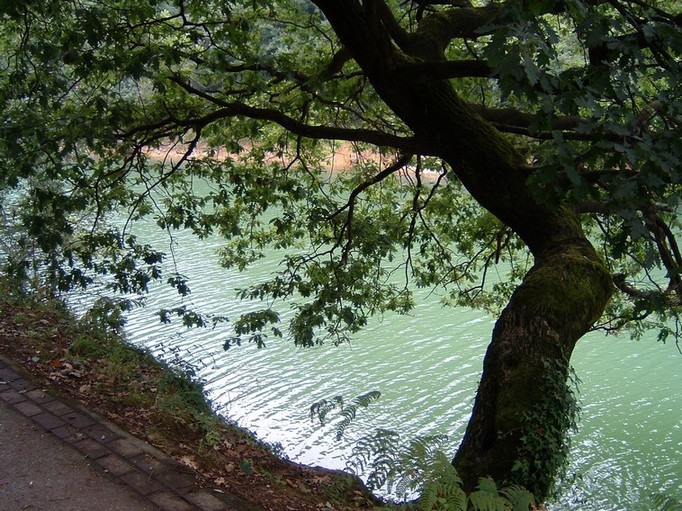 Foto de El Regato (Vizcaya), España