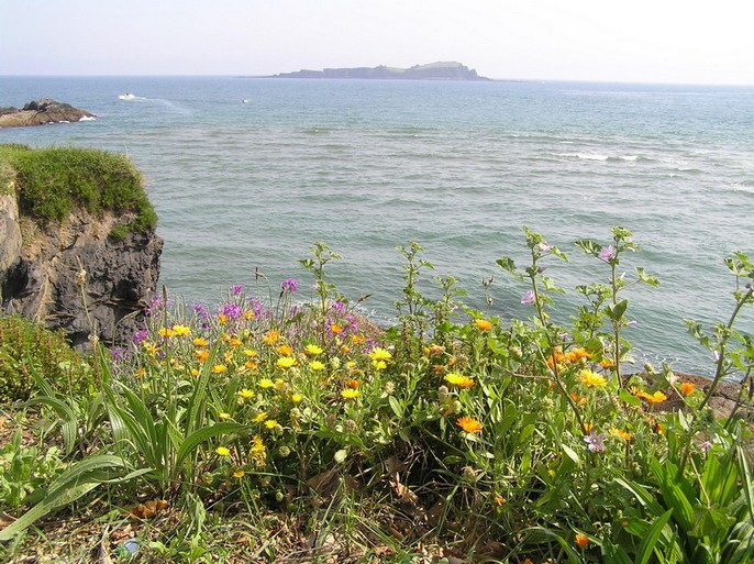 Foto de Mundaka (Vizcaya), España