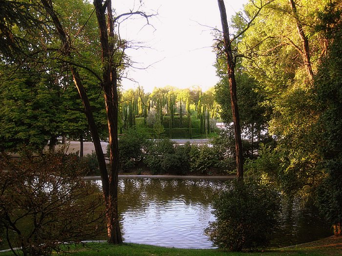 Foto de Madrid (Comunidad de Madrid), España