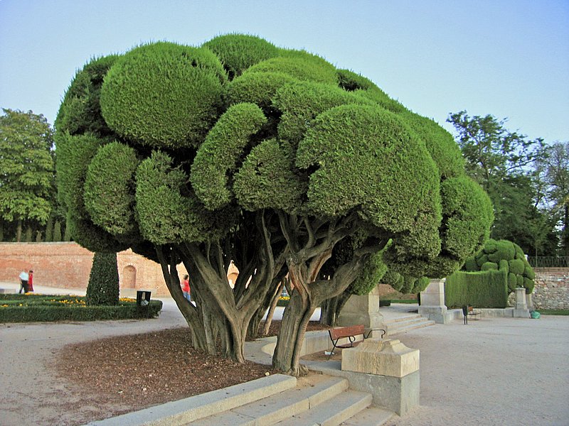 Foto de Madrid (Comunidad de Madrid), España