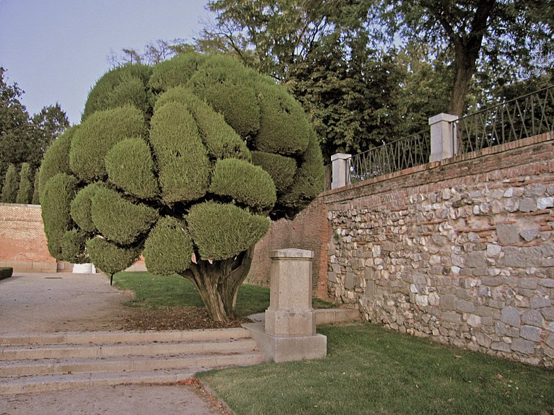 Foto de Madrid (Comunidad de Madrid), España