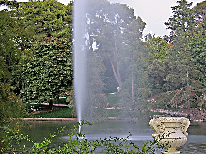 Foto de Madrid (Comunidad de Madrid), España