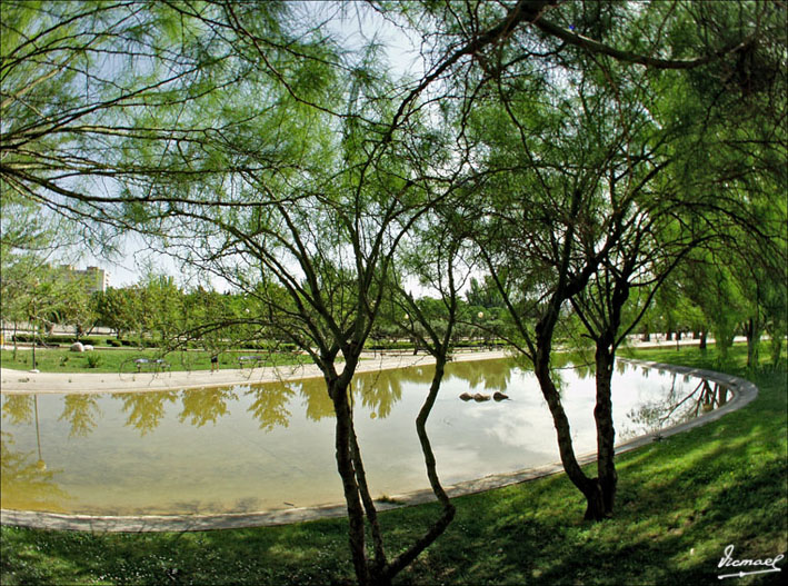 Foto de Zaragoza (Aragón), España