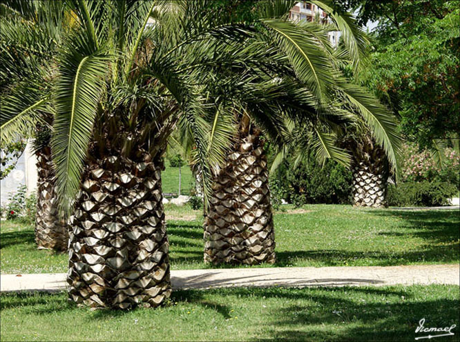 Foto de Zaragoza (Aragón), España
