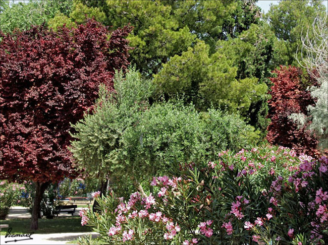 Foto de Zaragoza (Aragón), España