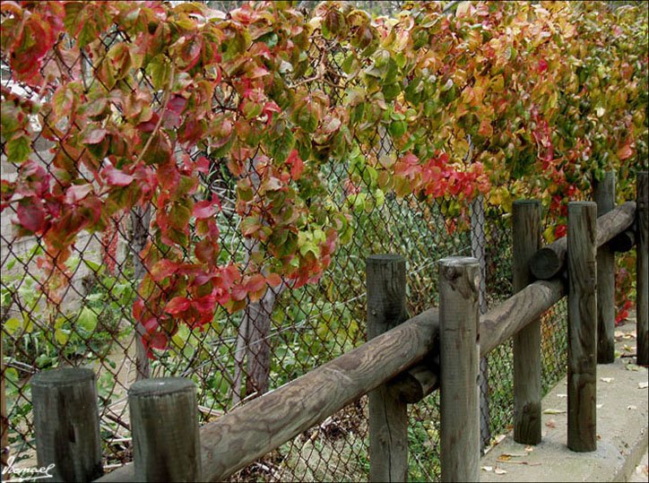 Foto de Zaragoza (Aragón), España