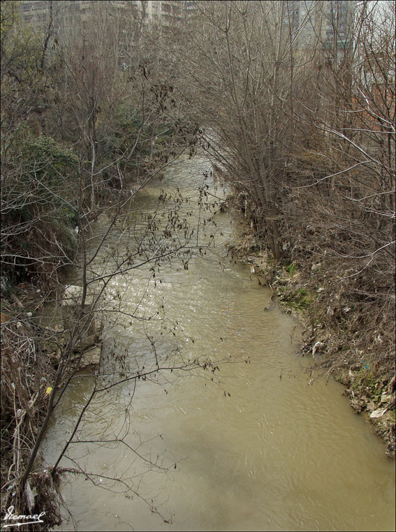 Foto de Zaragoza (Aragón), España