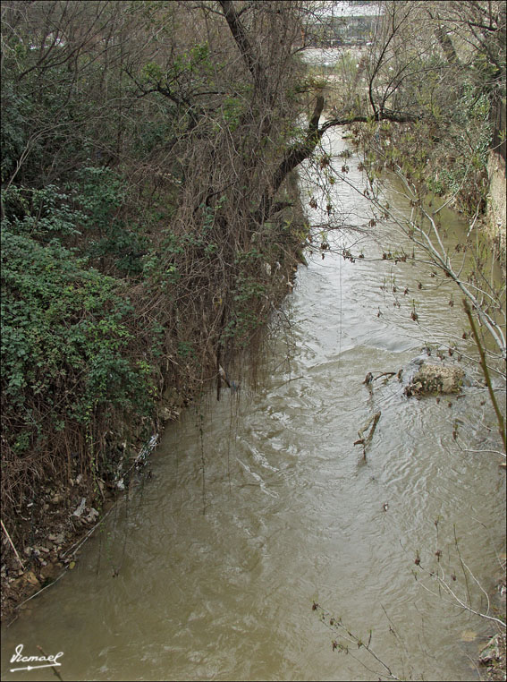 Foto de Zaragoza (Aragón), España