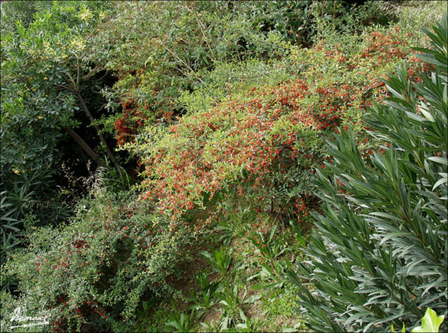 Foto de Zaragoza (Aragón), España