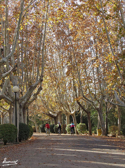 Foto de Zaragoza (Aragón), España