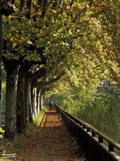 Foto de Zaragoza (Aragón), España