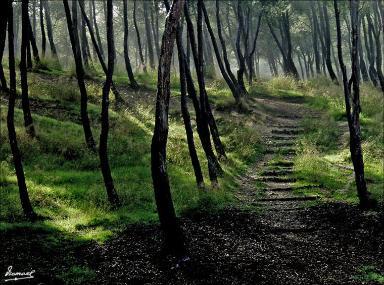 Foto de Zaragoza (Aragón), España