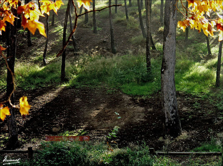 Foto de Zaragoza (Aragón), España