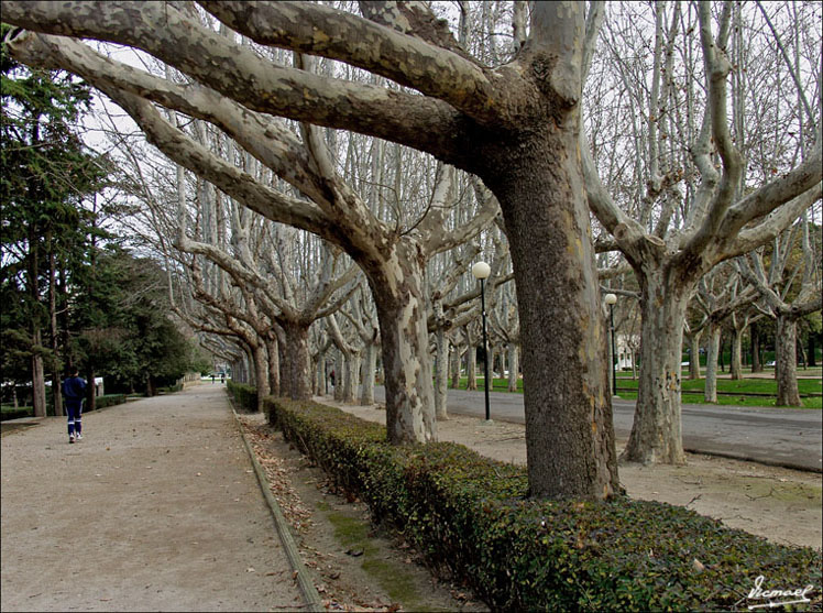 Foto de Zaragoza (Aragón), España