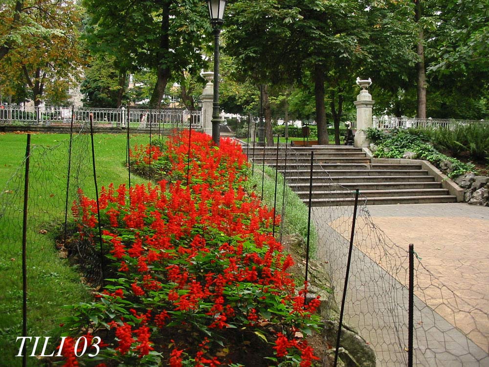 Foto de Oviedo (Asturias), España