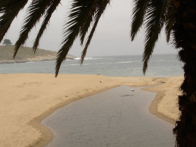 Foto de ZAPALLAR, Chile