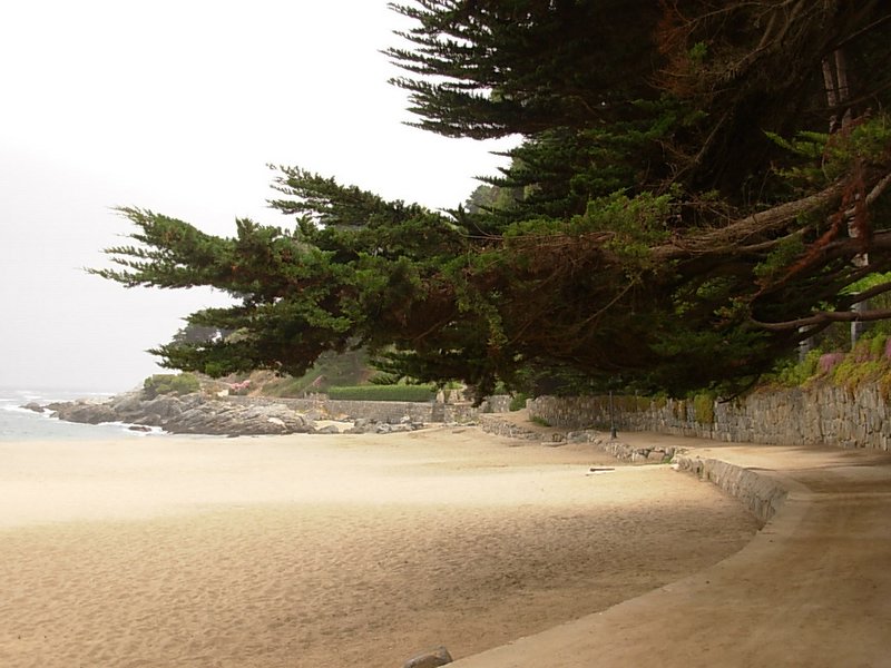 Foto de ZAPALLAR, Chile