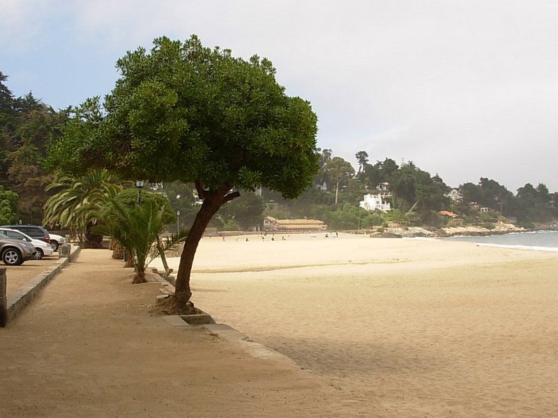 Foto de ZAPALLAR, Chile