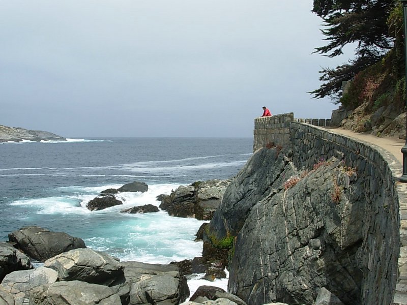 Foto de ZAPALLAR, Chile