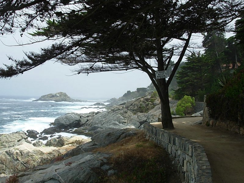 Foto de ZAPALLAR, Chile