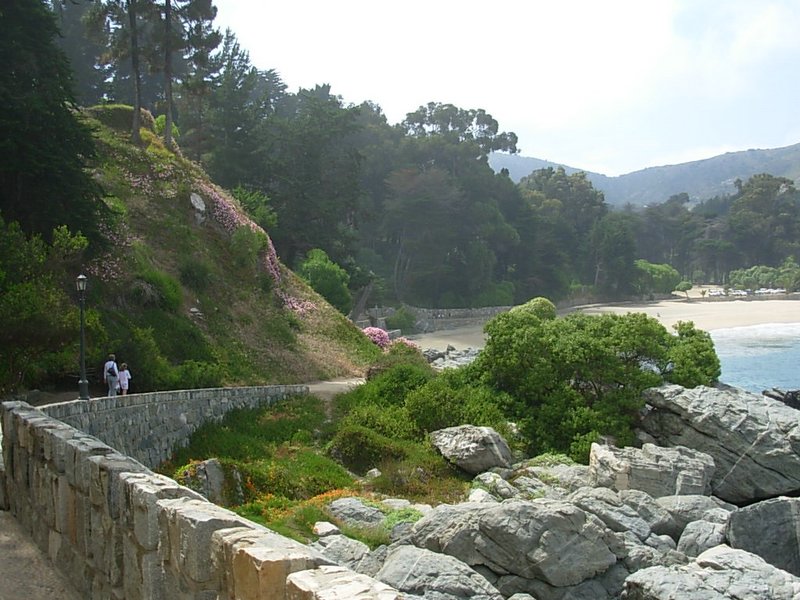 Foto de ZAPALLAR, Chile