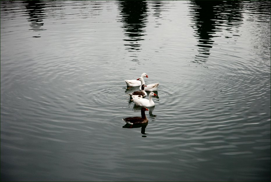 Foto de Aranjuez (Madrid), España