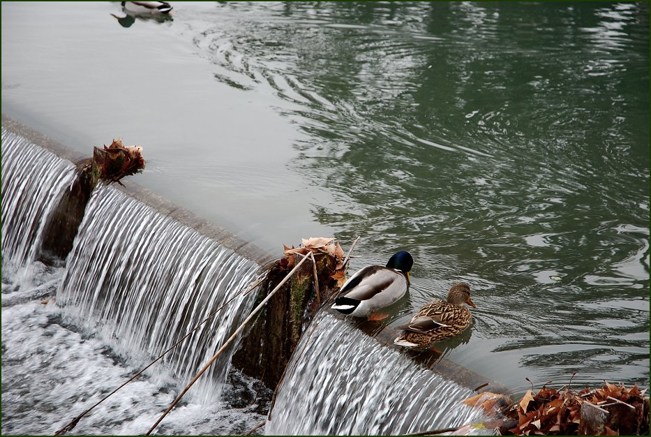 Foto de Aranjuez (Madrid), España