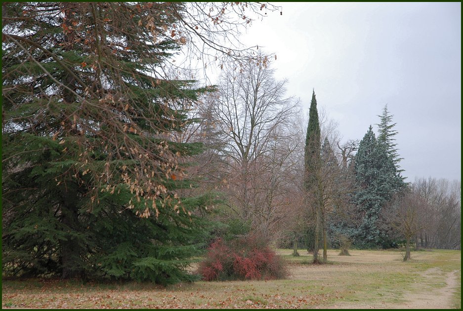 Foto de Aranjuez (Madrid), España