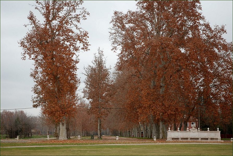 Foto de Aranjuez (Madrid), España